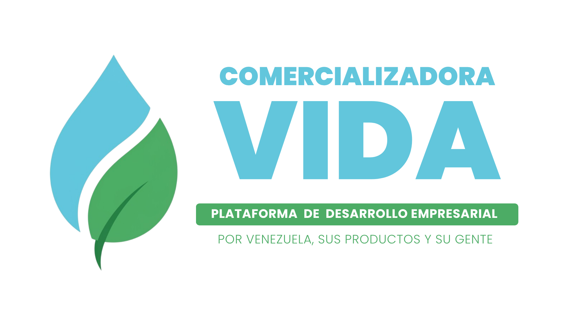 Vida